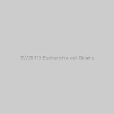 Image of BW25113 Escherichia coli Strains